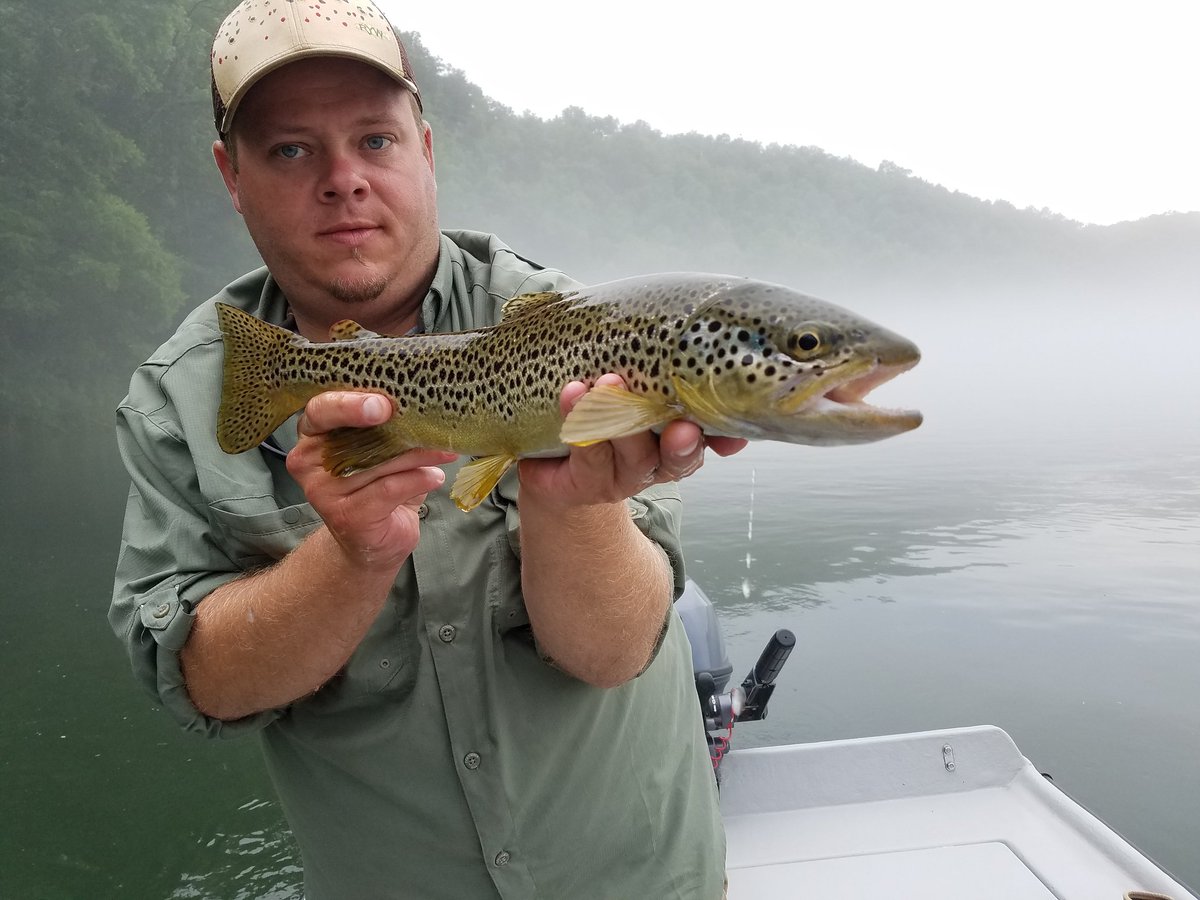FishwithTJ's tweet photo. Launchin' skreamers in the fog..
@ontheflywithkarenlynn with the 🥅 and 📸
#flyfishing #photography #fish #fishing #trout #troutbum #fishingtrip #flyfishingphotography #flyfisharkansas #supremeboats #arkansas #ozarks #whiteriver #simmsfishing #salmotrutta #brownfish #browntrout https://t.co/zDRMkYp5r4