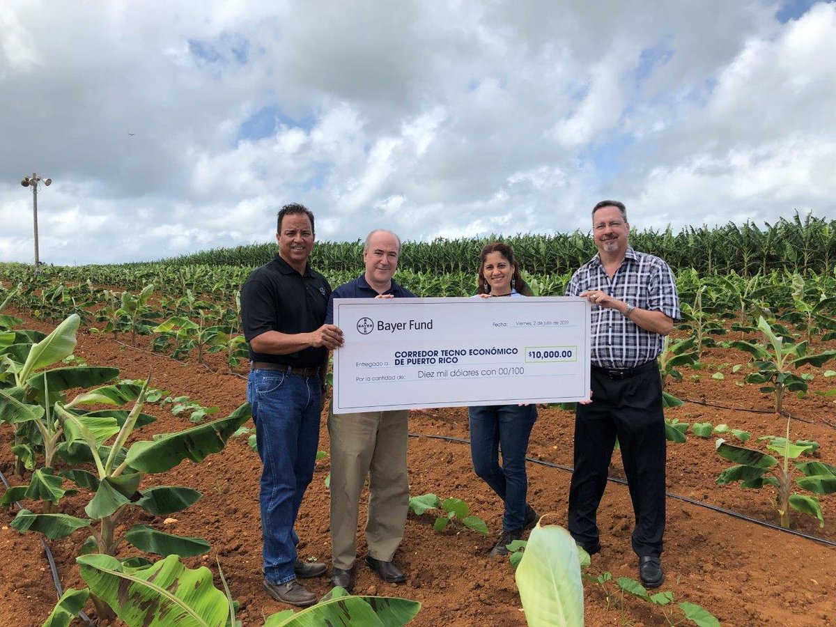 mikejgraham1's tweet photo. 25 years ago our winter nursery in Isabela, Puerto Rico was key to my training as a plant breeder. Almost 3 years ago @Bayer4Crops donated the land to PRTEC and today part of it is being used to train the next generation of crop scientists #PlanetImpact #GivingBack https://t.co/WialK9Ek1a