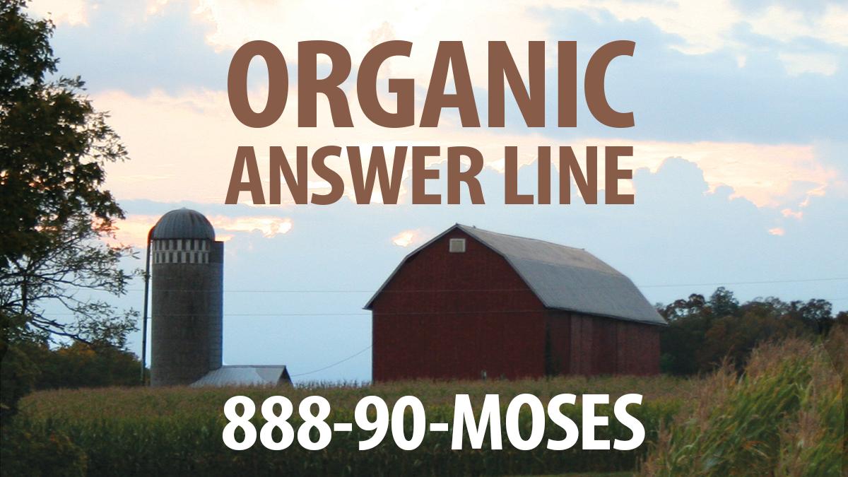 marbleseedorg's tweet photo. Get answers to your questions about farming and organic rules. Our team of organic specialists is ready to help you!
https://t.co/CccyAmjtmh  #OrganicWorks https://t.co/cskRri7daA