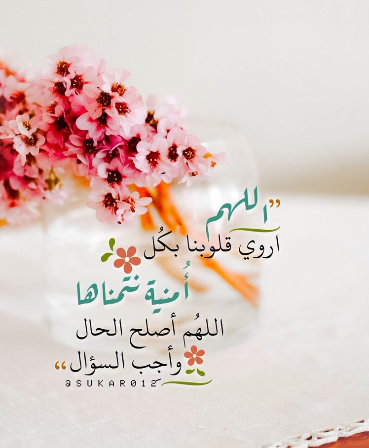 _ayshah2's tweet photo. -

اللهُم أروي قلوبنا بكُل أُمنية نتمناها ، اللهُم أصلح الحال وأرح ��لبال وأجِب السؤال"..🌸🍃~
..
#يوم_التروية 
#عشر_مباركات 
#عشر_ذي_الحجة 
#يوم_عرفة https://t.co/huF4aSjBV2