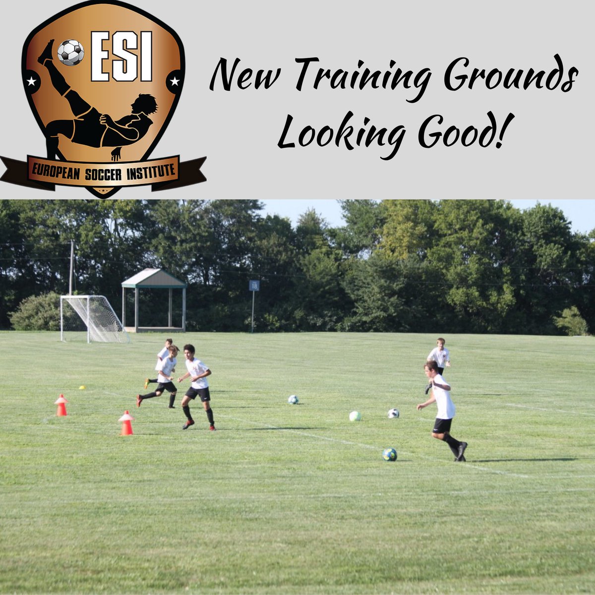 ESISoccer's tweet photo. Around ESI this week...league prep... tournament prep... development!  #ESI #esisoccer #soccerdevelopment #fallkickoffchallenge #nebraskaleague #heartlandsoccer #soccerleague #eurosocceracademy #developmentacademy #soccernews #kansascitysoccer #europeansoccerinstitute https://t.co/2S8jqdnF72
