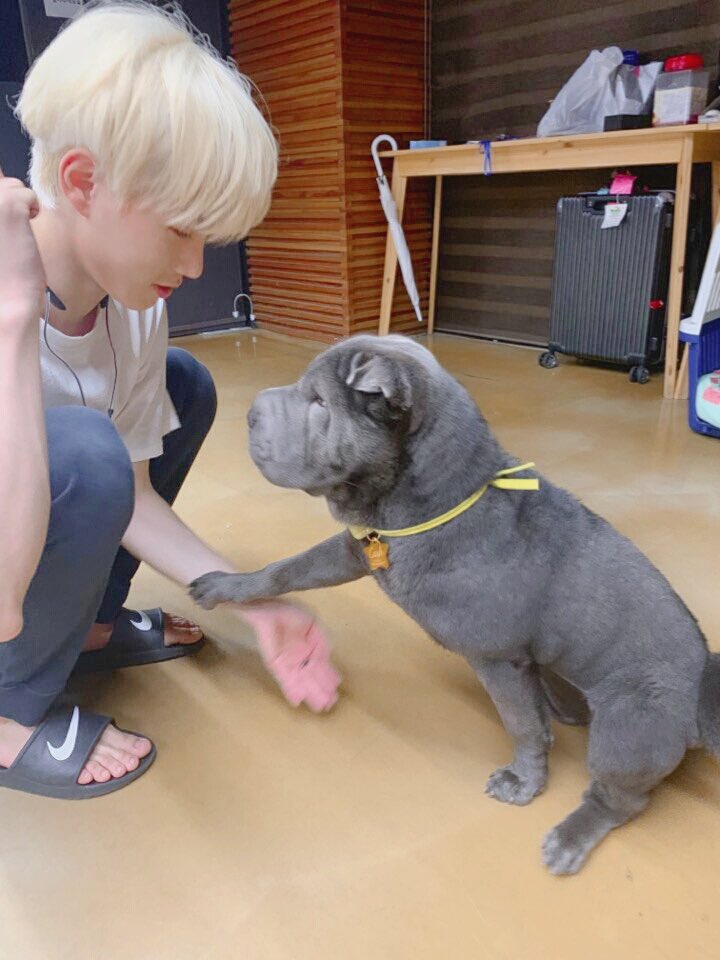 twt_VAV's tweet photo. (BaRon) : 퇴근 후 가장 먼저 하는 행동1.jpg 📷 🐕 https://t.co/E3wVCI8aSB