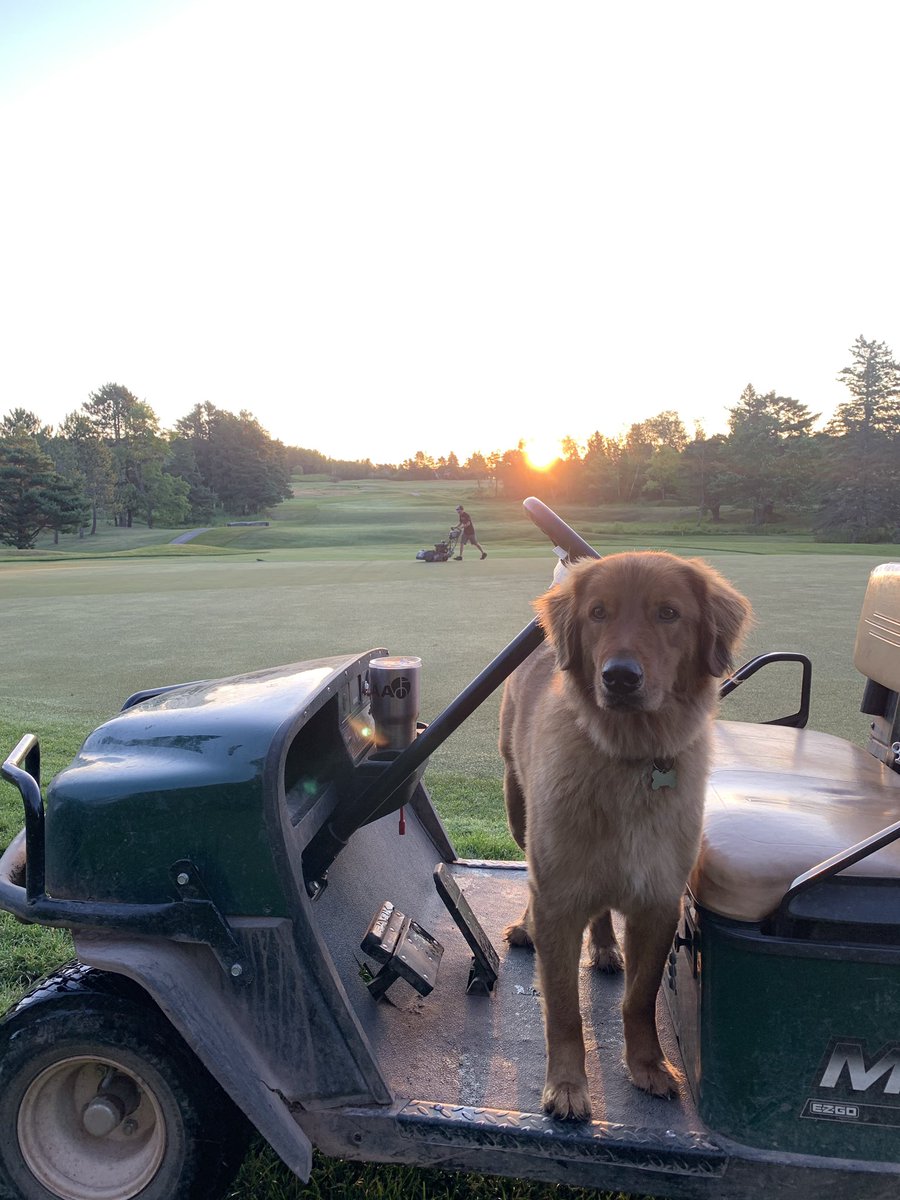 jnorquest28's tweet photo. Early mornings turning into late nights. Tournament days are some of the best #nccinvite #turfdog https://t.co/QM8LiDqcf7