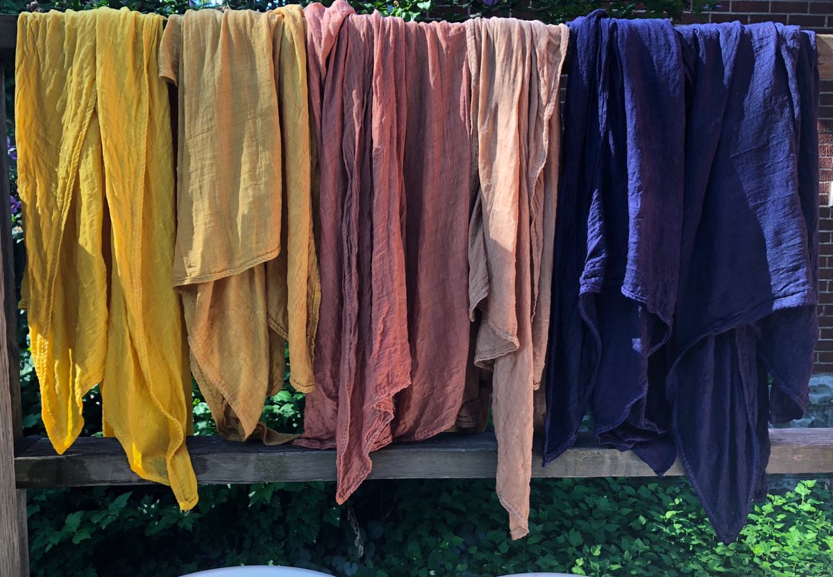 My baby swaddling blankets are out of the dye bath. #naturaldye #sustainable #osage #walnut #logwood #madder #blackoak