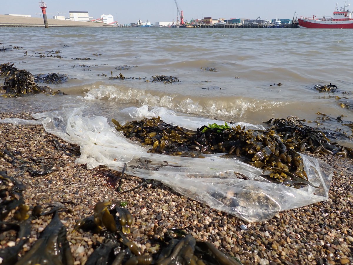 <a href="/waddentweets/">Waddenvereniging</a> De havengebonden bedrijven van <a href="/portofharlingen/">Havendienst Harlingen</a> grenzend aan <a href="/WerelderfgoedWZ/">Waddenzee Werelderfgoed</a> moesten wat zorgvuldiger omgaan met hun verpakkingsmateriaal zoals b.v. dit wikkelplastic, rampzalig voor milieu en kleine scheepvaart <a href="/DoeeensWad/">Doe eens Wad</a>