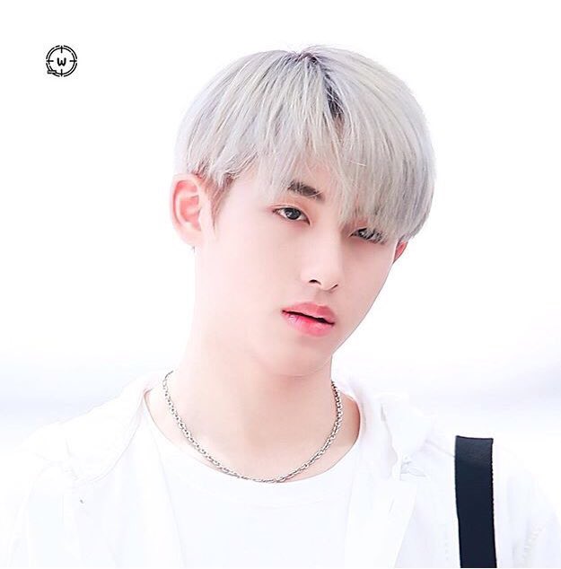 Wayvvkun_'s tweet photo. WOAH DUDE!!!! ALL OF MY BIASES hAVE SILVER HAIr!!!! MAYBE AN NCT U COMEBACK!??!!! #nct #nctu #wayv #nct127 #SMTOWN https://t.co/DJdxqABDR0