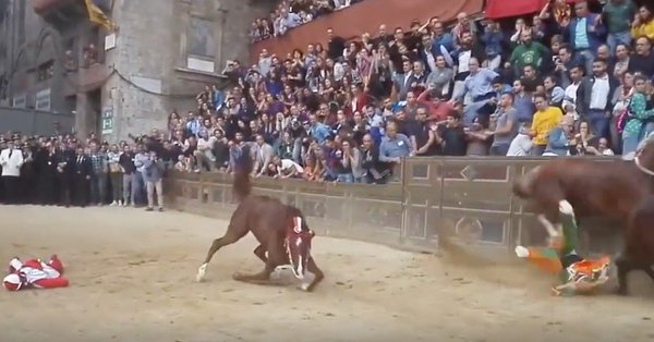 LAV_Italia's tweet photo. Al Palio i cavalli perdono sempre: 51 i cavalli morti a Siena durante le gare dal 1975 a oggi.
Curve strette, terreni inadatti alla corsa, cavalli soggetti a cadute e ferite. L’unica "mossa giusta" è abolire i palii con animali.
In foto la tragica caduta di Raol nel 2018 https://t.co/DqNQcKYHA0