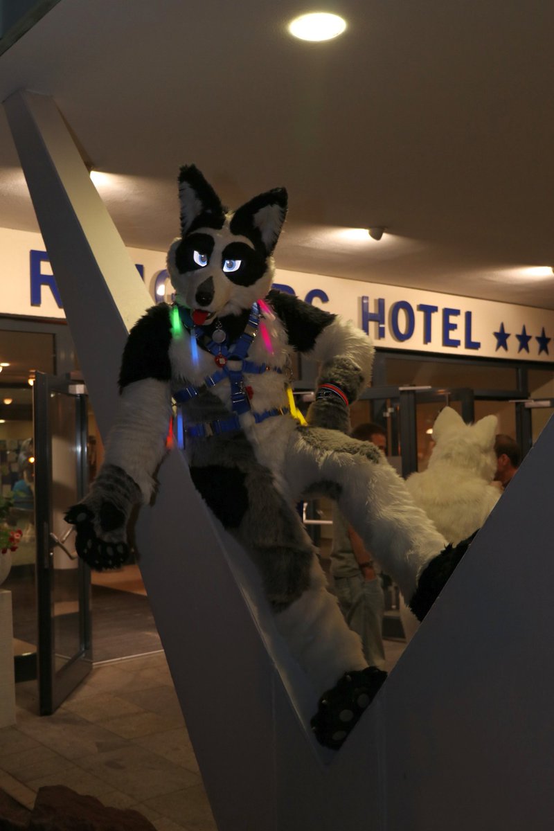 Welcome to the ringberg hotel and happy #FursuitFriday everyone! Erm... have I already mentioned that I like glowsticks?