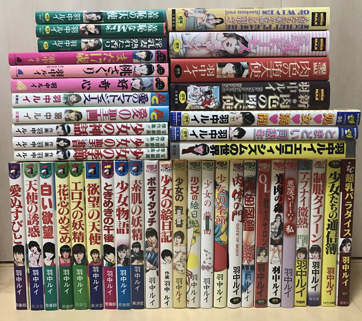 羽中ルイ エロティシズムの世界 官能劇画 三流劇画