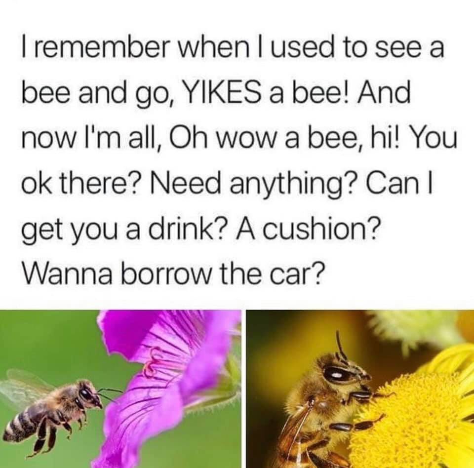 SophiaReflects's tweet photo. Yup, pretty much
#dobees #savethebees #queenbee #beecharmer https://t.co/M0nUGQNWhd