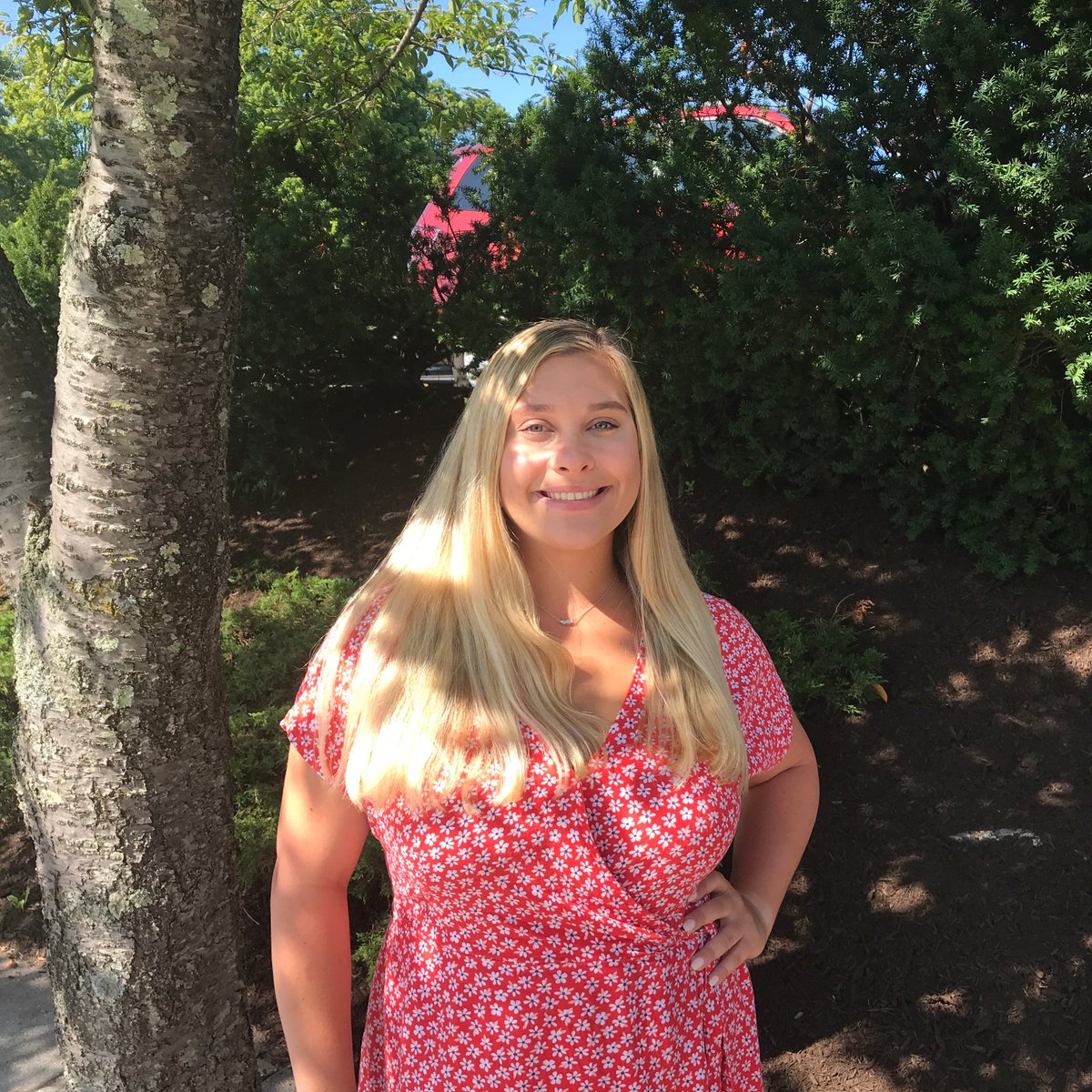 Norwalk, CT tweet media