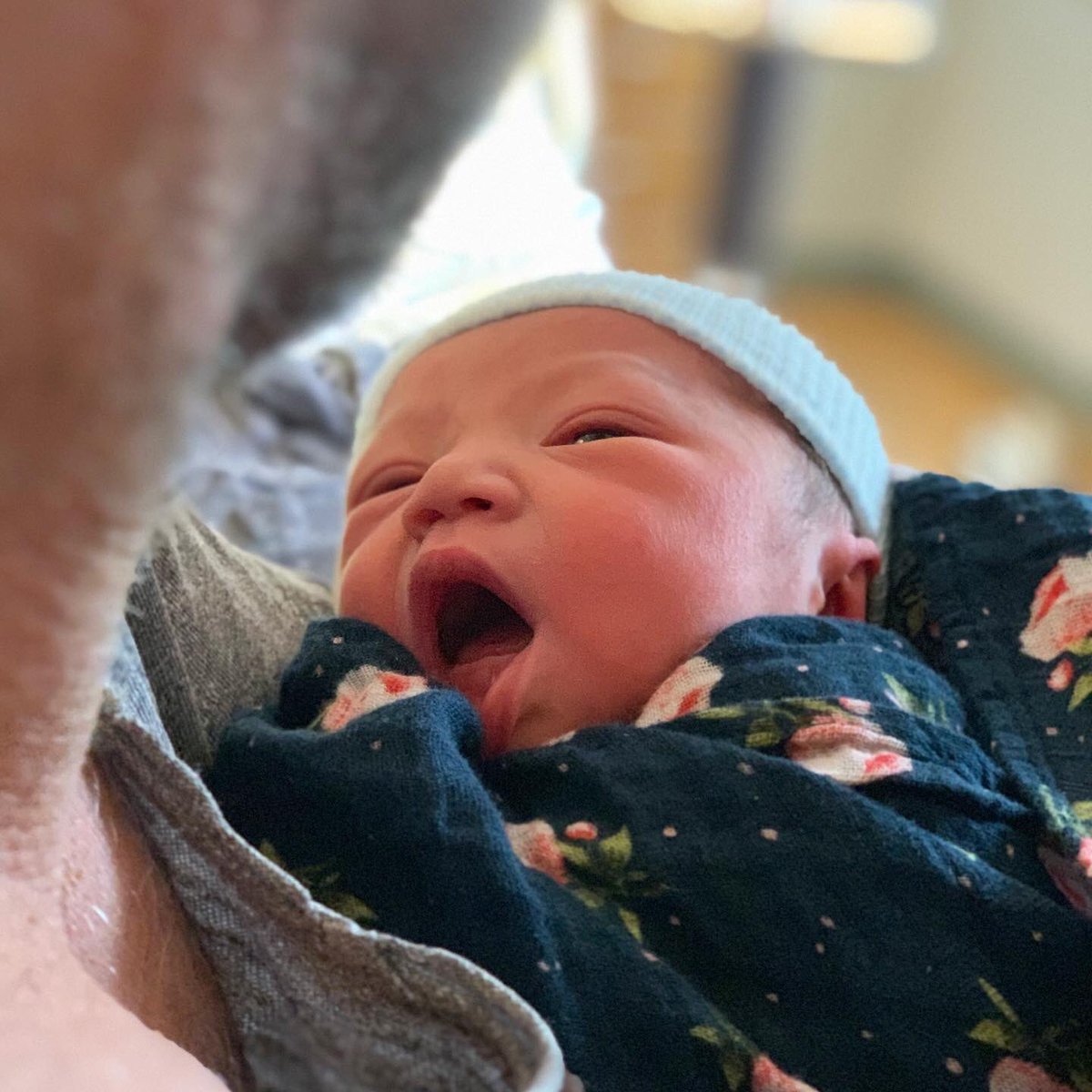 Steve Fogarty tweet media