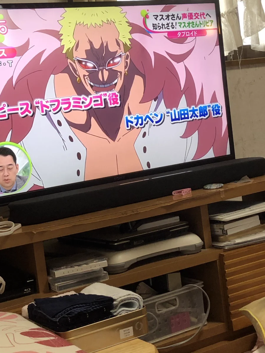 ドンキホーテ ド フラミンゴ 41 歳