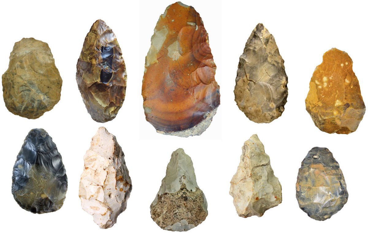 findsorguk's tweet photo. For #FindsFriday we've come over all Palaeolithic. Here is a selection of some of the 365 Palaeo handaxes recorded on the Database. You can view the whole list here: https://t.co/uipvvlCGxr
Perhaps #FlintsFriday would be more appropriate? #lithics #Palaeolithic https://t.co/ajpha383Zv