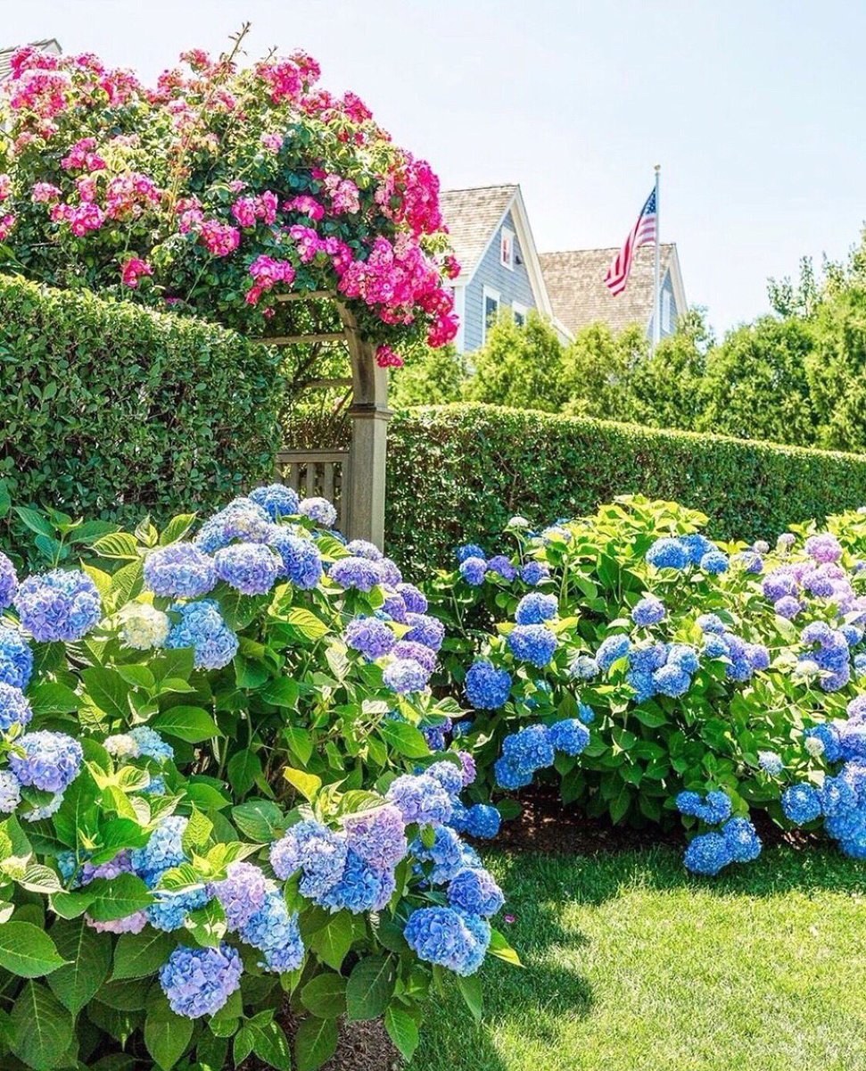 #FridayMood: Wishing we were frollicking in this beautiful blooming Nantucket Garden! 🤩💐(Inspo via @townandcountrymag) #gardengoals #inbloom