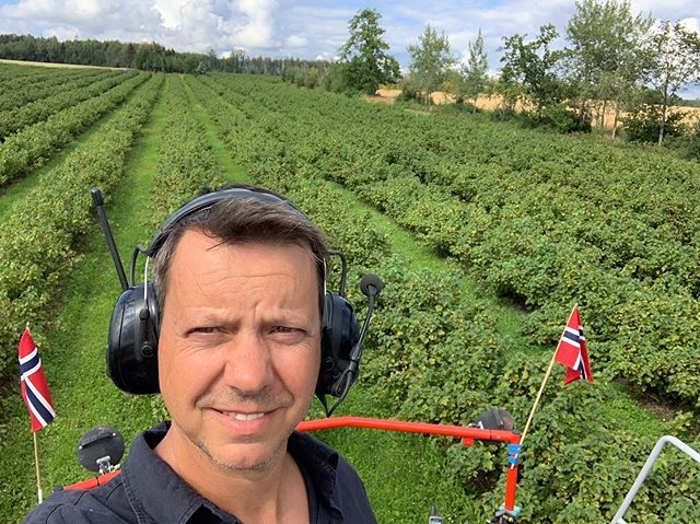 stormstein's tweet image. Solbærinnhøsting 2019/4.
På høstedager så flagger vi. Alltid. I dag ble det blåskjorte i tillegg :-). #solbærsesongen2019 #solbær #blackcurrant #mølstadgård ift.tt/2M97P7c