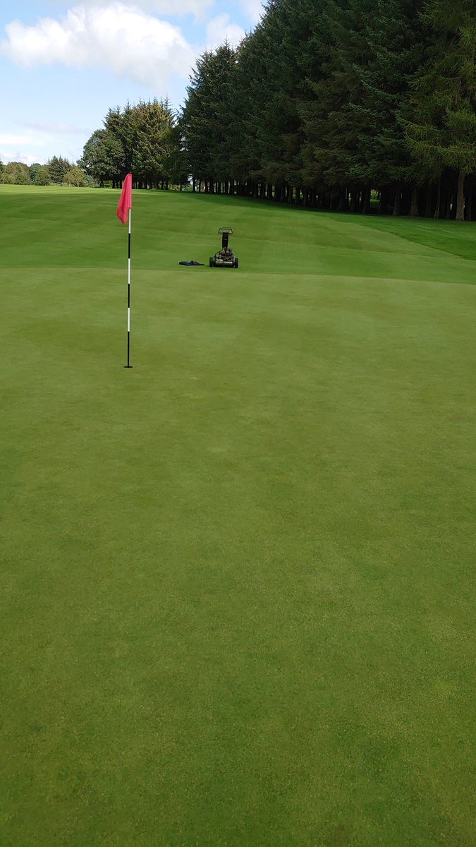 shanks_colin's tweet photo. 7 hours solid rain... Off for an hour...
Let's hand cut those greens... Not a puddle in sight!!! @StrathavenGC
#usgaspec
#lanarkshiregolf
#bestinlanarkshire https://t.co/v9LeSlwf1u