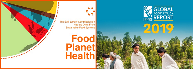 IFPRI's tweet photo. How should #ruralrevitalization and #foodsystems interact for diets and the environment? Comparing the EAT-Lancet Commission Report and IFPRI’s Global Food Policy Report #GFPR2019 https://t.co/0Ho6cIiot3 @EATforum @DutchMFA @foodplatform https://t.co/PcOUlCoO4m