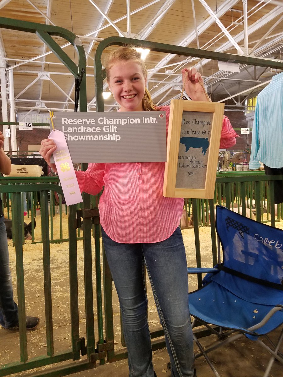 CoachSamMalcolm's tweet photo. Congratulations to Makenna on being named Reserve Intermediate Landrace Gilt Showman! #IndianaStateFair #ISF19 https://t.co/WcoNT4FtpQ