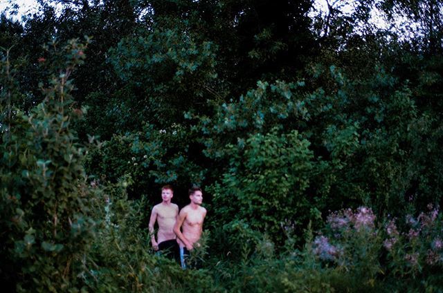 paulscheufler's tweet photo. dicklicht aktivitäten - thicket activities 🌿🌿🌿 https://t.co/4OOLcltHa9 https://t.co/qtG8Xk5kQ0