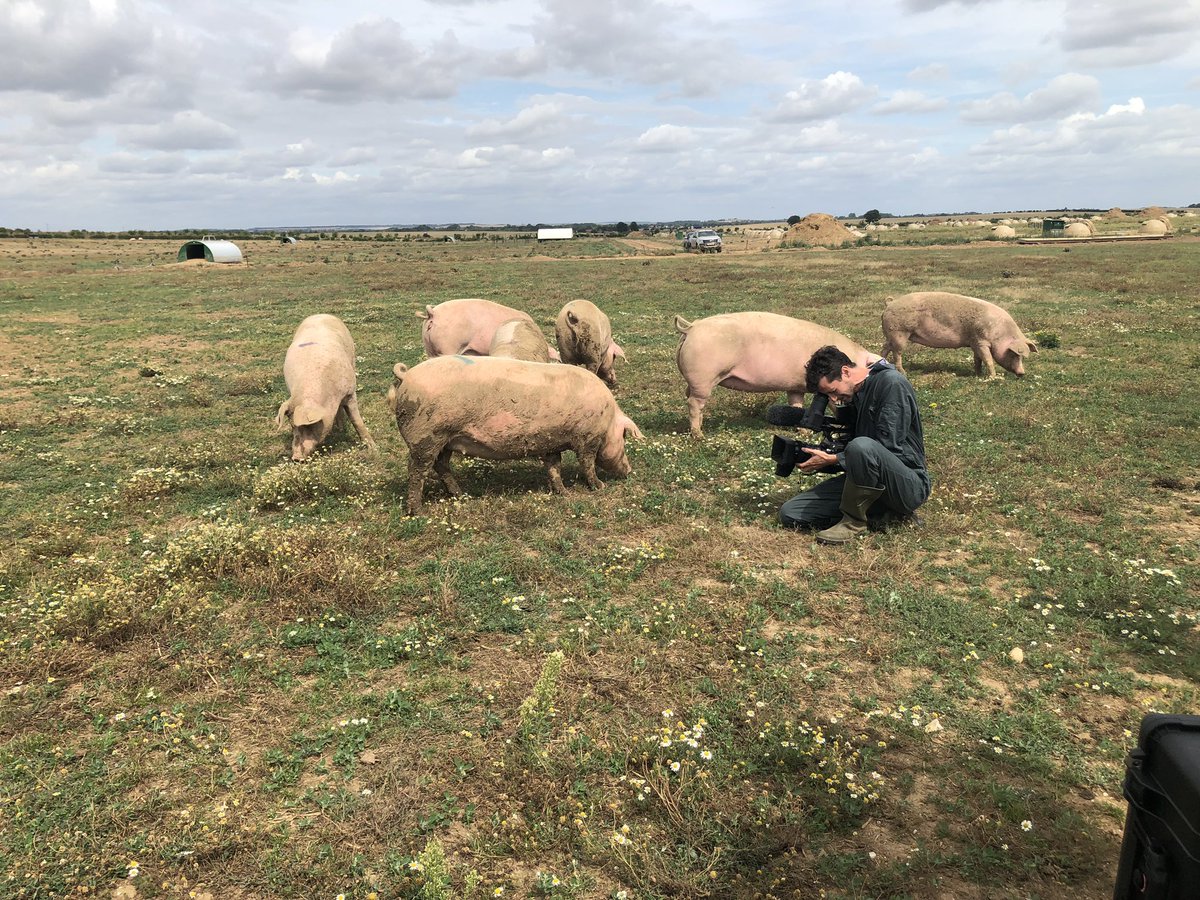 Super excited about  @SaturdayKitchen this weekend! We joined up with our amazing farmer Robin to host @FoodsTempus and hear them talk about British sows and taste their award winning British charcuterie! 🐖 #supportbritishfarmers #britishsows #britishpork #britishcharcuterie