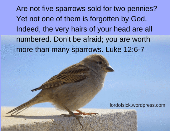 JesusWayof's tweet image. Value #TheWayOfJesusChrist