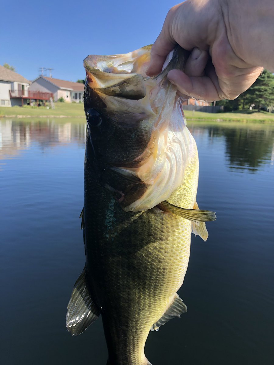 CliffCsayer1's tweet photo. Got it done this morning #pondfishin #kalins https://t.co/4GB7ZceZOw