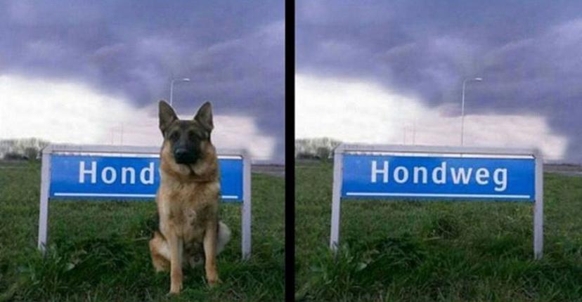 helpdeskert's tweet image. Ik kan hier dus veel te hard om lachen he :P