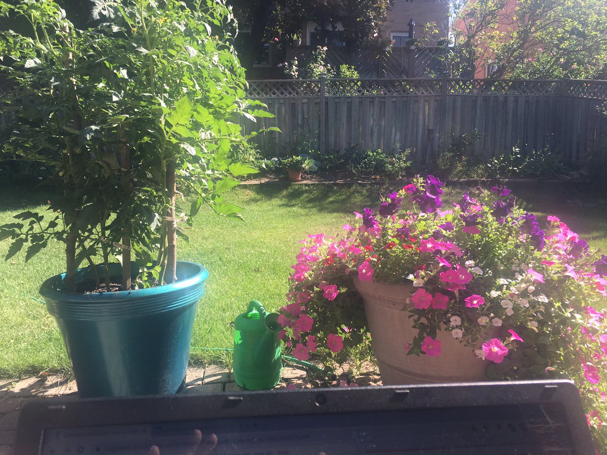 ConferenceGenie's tweet photo. The beauty of a career in events is that as long as I have good wifi, a laptop, an intl call plan &amp; a phone I can do my planning work anywhere. #WorkLifeBalance #WorkFromHome #blessed #gardenliving #beachwouldbebetter https://t.co/APjibzS5ei