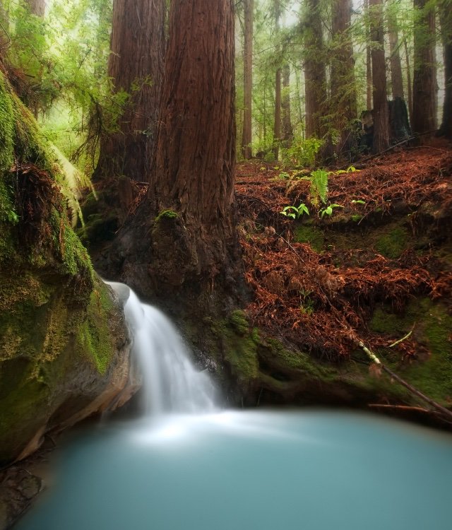 wildcreativity's tweet photo. However much you knock at nature's door, she will never answer you in comprehensible words.

Ivan Turgenev

#quotes #nature https://t.co/3H7zp144mx
