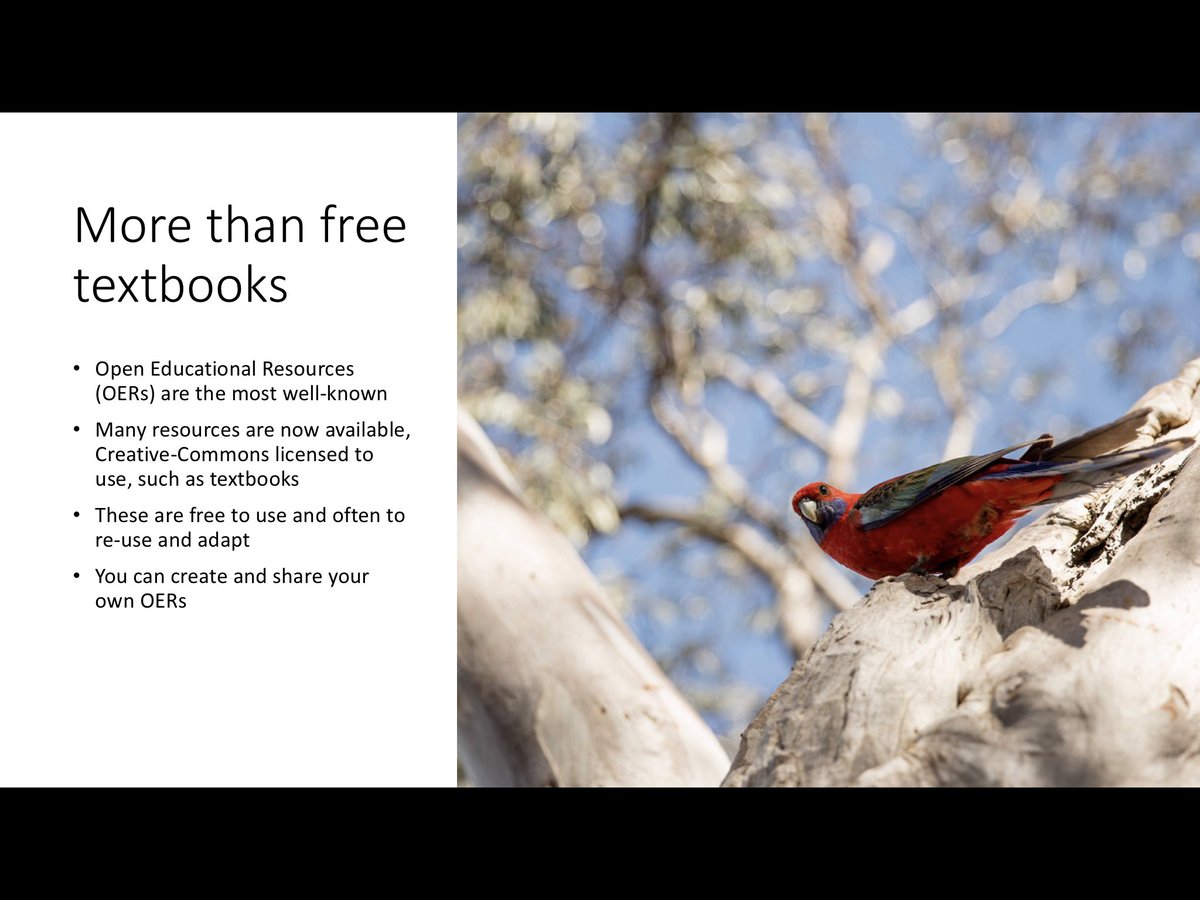 Dr. Katie Freund isn't here tweet media