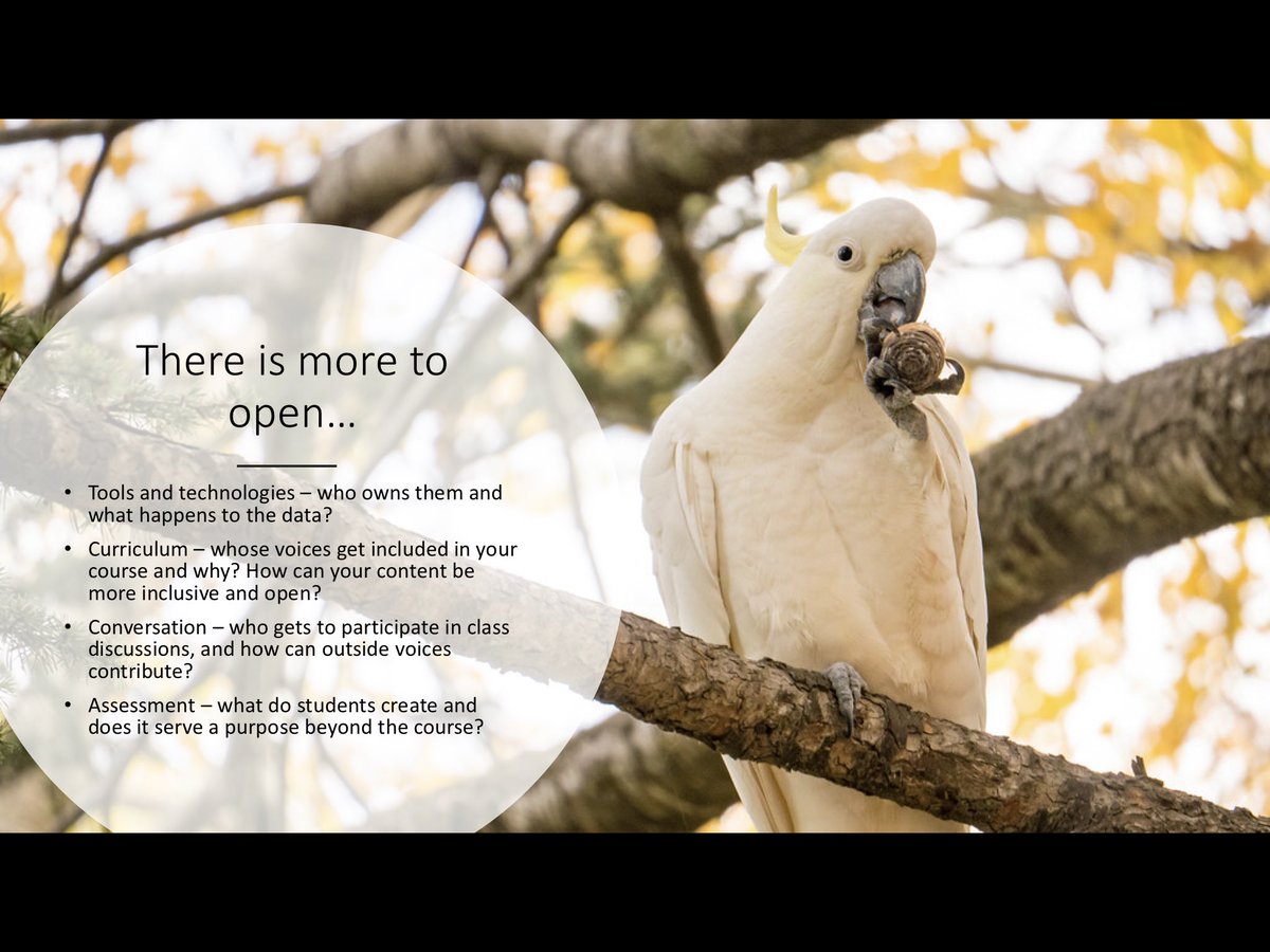 Dr. Katie Freund isn't here tweet media