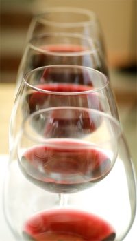 Cabernet Sauvignon Vertical Tasting August 24th &amp; 25th.  Explore how wine evolves in the bottle as it ages!  Reservation recommended.  $15 per person or FREE for our FOF wine club members!  Call 540-636-6777 or email info@foxmeadowwinery.com