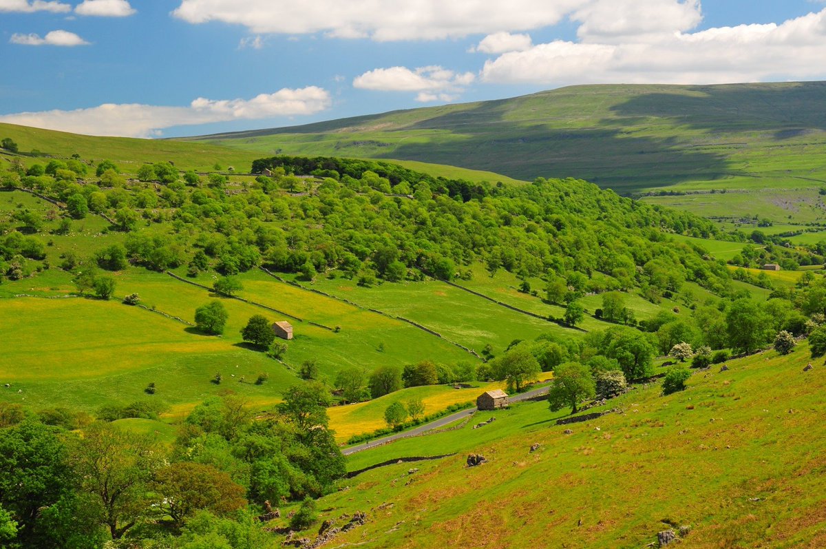 What a pleasure to have been part of  <a href="/Morrisons/">Morrisons</a> #Farm24 event this year. Our cereals business first began as a diversification to support our home #YockenthwaiteFarm, in Langstrothdale. Our family has farmed here for generations and we couldn't be prouder.