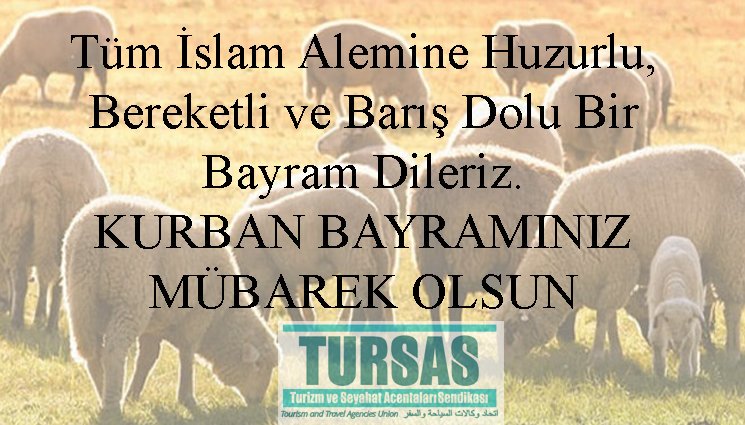 TursasOfficial's tweet photo. TÜM İSLAM ALEMİNİN KURBAN BAYRAMI'NI KUTLARIZ. https://t.co/tX7I9CwoOk