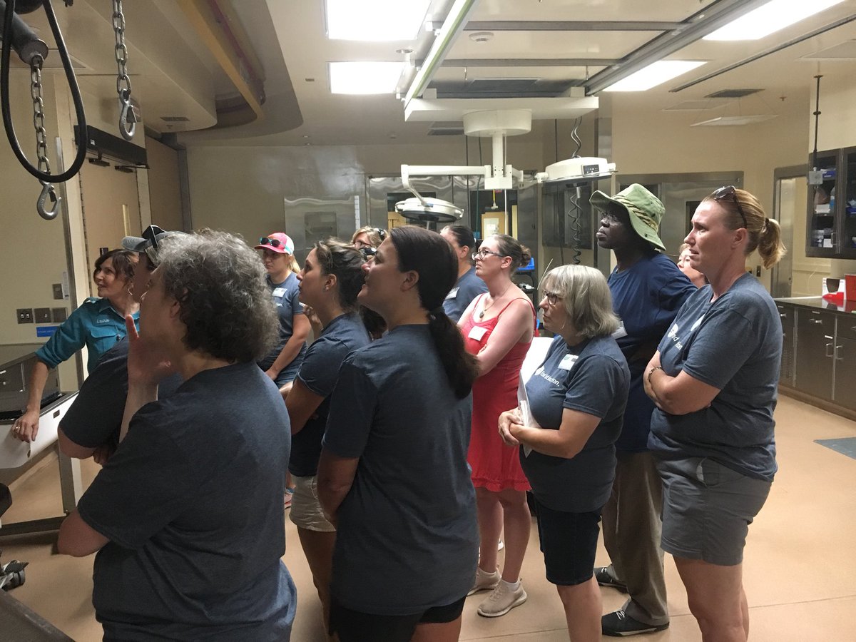 k2komatsubara's tweet photo. If we want students to be stewards of the earth, we must first teach them to care. Thank you for an transformative week! #2019TWCS #EndExtinction @sdzsafaripark @sdzglobal https://t.co/a6CzfwNAyr