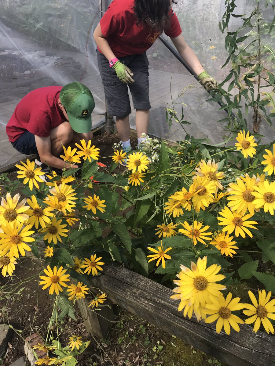 FMS Principal tweet media