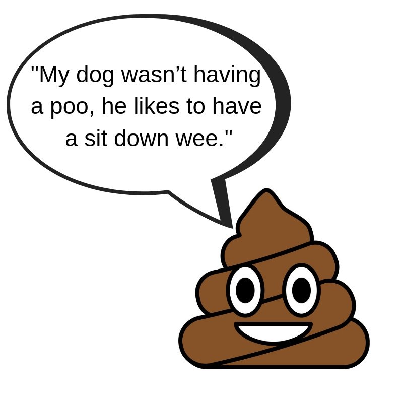 TelfordWrekin's tweet photo. Genuine excuse 2/5 from an irresponsible dog owner. No excuse for not picking up. If you see it, please report it: https://t.co/vKIf7mi0L2   #poopandscoop #scoopthepoop #dogowners #pickupthatpoop https://t.co/VDFSqnyyKC