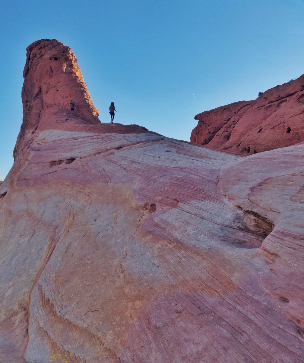 OnePlus_BEFR's tweet image. Voici quelques-unes de de vos plus belles photos #OnePlusGoExplore. Laquelle est votre préférée?