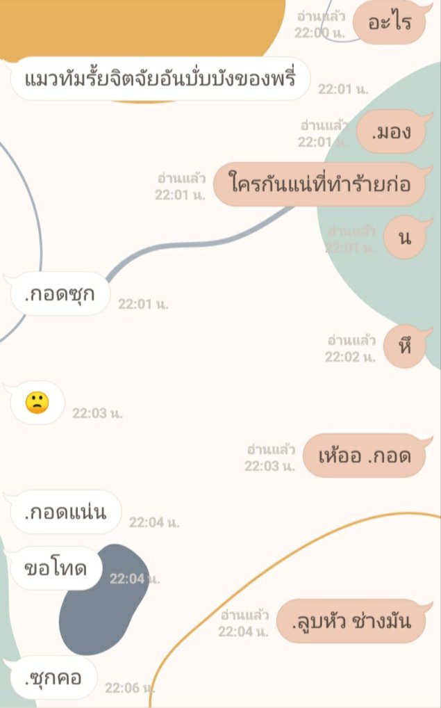 แมวจะมาขิงคนหื่น tweet media
