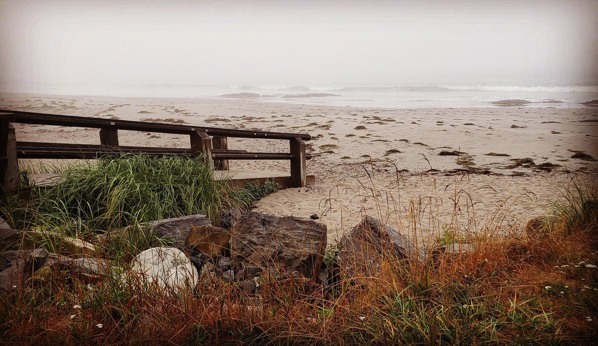 Foggy morning at Rissers Beach Provincial Park, and the waves hitting the beach sound like trucks as they roll in. 

#NovaScotia❤ #SouthShore #RissersBeach #RissersBeachProvincialPark