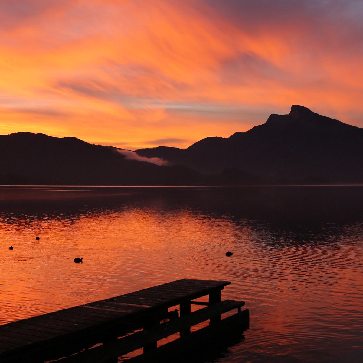 DeluxeteaC's tweet photo. Mondsee says “good night tea lovers”.
#tee #teetrinken #teaworld #teewelt #teeliebe #tealove #deluxetea #ichliebetee #ilovetea #deluxeteaclub #teasubscription #teeabo #tealover #teeliebhaber #eveningtea #abendtee #teahealth #gesundtrinken #sipbysip #Mondsee #Österreich https://t.co/TlKMuFdVfd