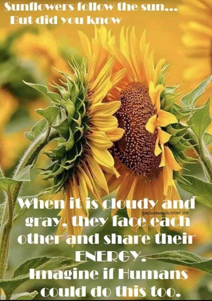 RespectYourself's tweet image. Always be kind to yourself