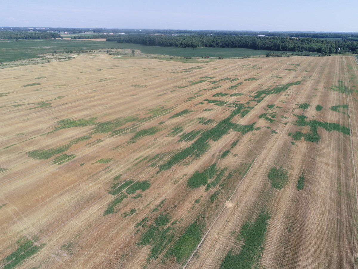 Jordan Sinclair tweet media