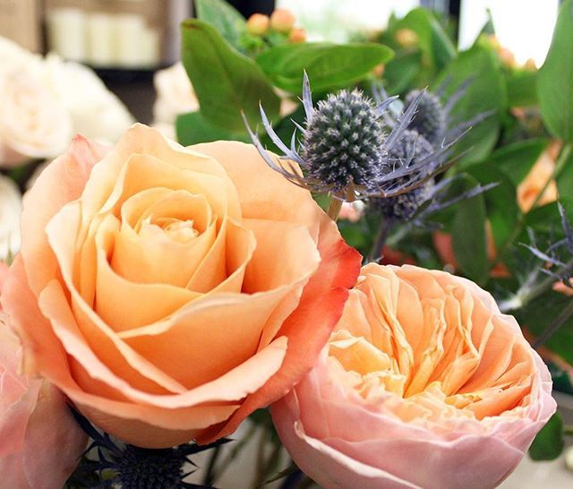 Feeling just peachy on this #FlowerFriday! 😉 🍑 ift.tt/2YWb6IX