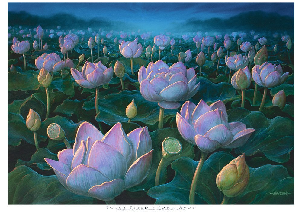 We released some Limited Edition A2 prints of #mtg Lotus Field