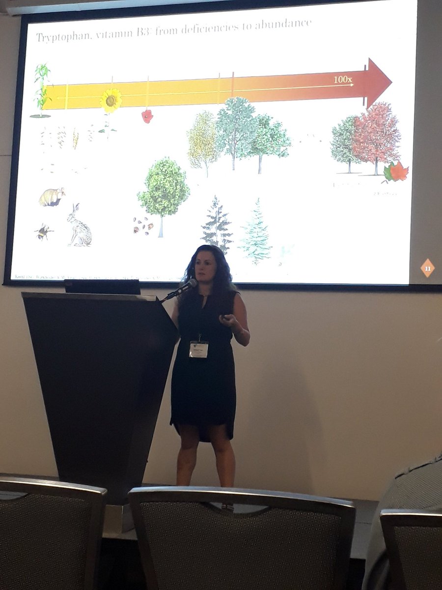 alewden's tweet photo. Mathilde Tissier @Mltissier gave a great talk about Tryptophan and Vitamin B3 deficiencies in 4 different species
#ICCPB2019 https://t.co/ST8gzIclHH