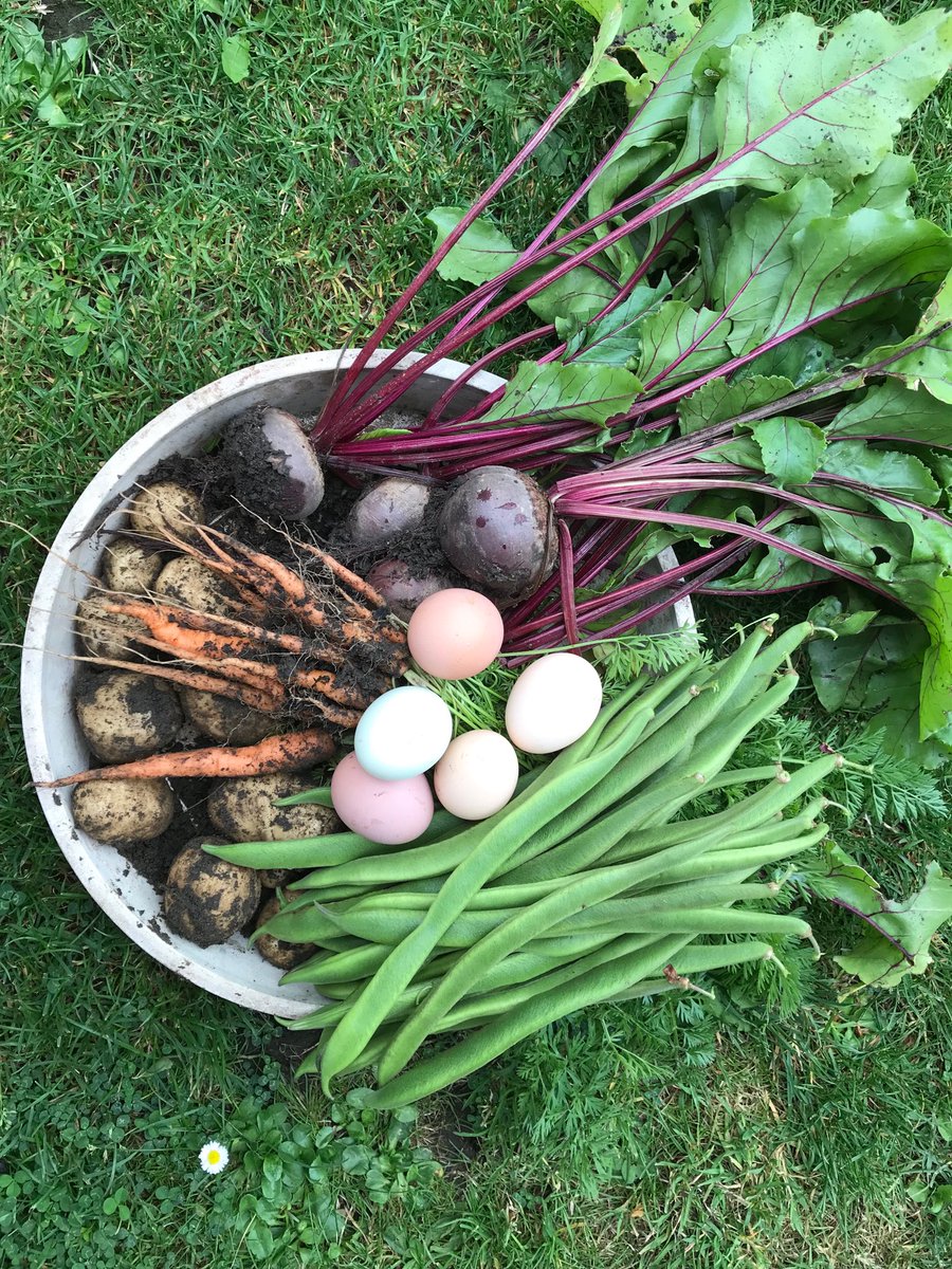 You just cannot whack eating your own produce this time of year - marvellous