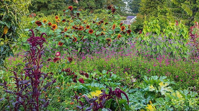 Aberglasney Gardens tweet media