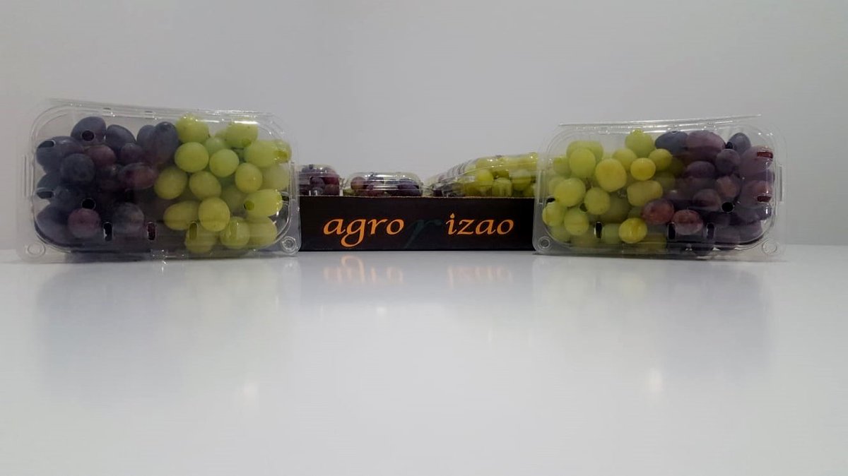 AgrorizaoSL's tweet photo. 🍇😋 Aquí te presentamos la combinación perfecta para disfrutar de los #saboresdelverano en su justa medida. 
Consume #frutasdetemporada son muchos sus beneficios para tu #salud y ayudáis al desarrollo sostenible 😋🍇 https://t.co/sYqK72mcEt